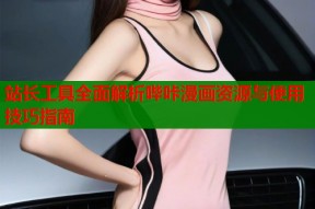 站长工具全面解析哔咔漫画资源与使用技巧指南