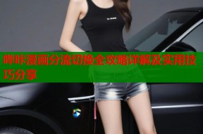 哔咔漫画分流切换全攻略详解及实用技巧分享